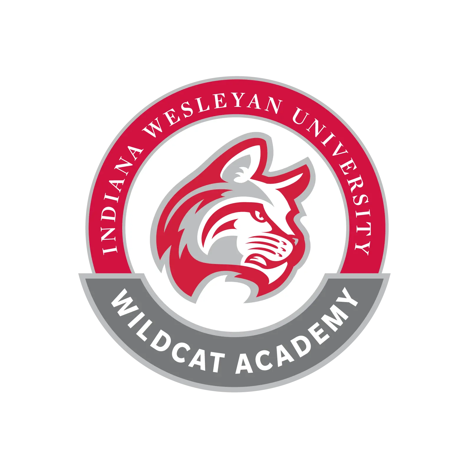 wildcat academy logo
